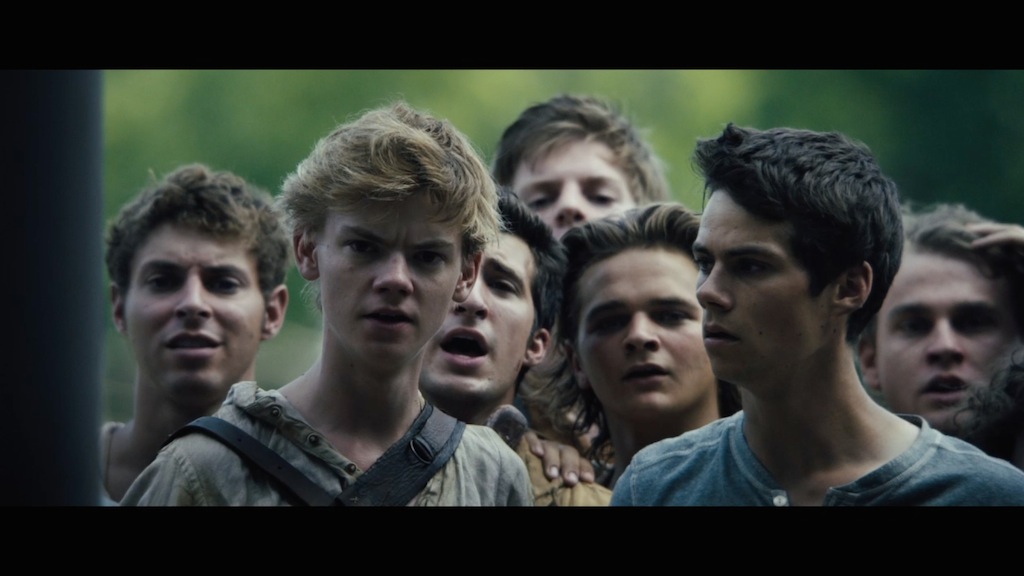 the maze runner thomas and newt